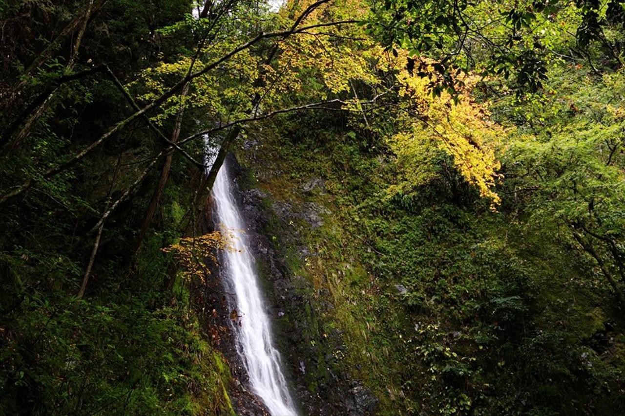 Yadori Onsen Iyashinoyu Villa Hashimoto  Eksteriør billede