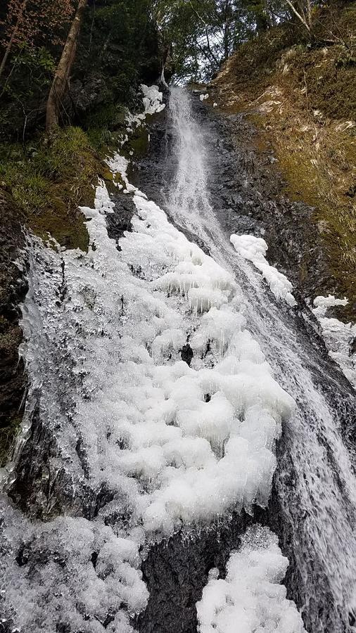 Yadori Onsen Iyashinoyu Villa Hashimoto  Eksteriør billede